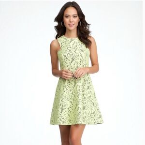 Bebe Fit & Flare Lime Lace Contrast Dress